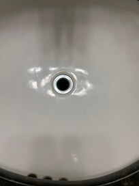 Hair in sink