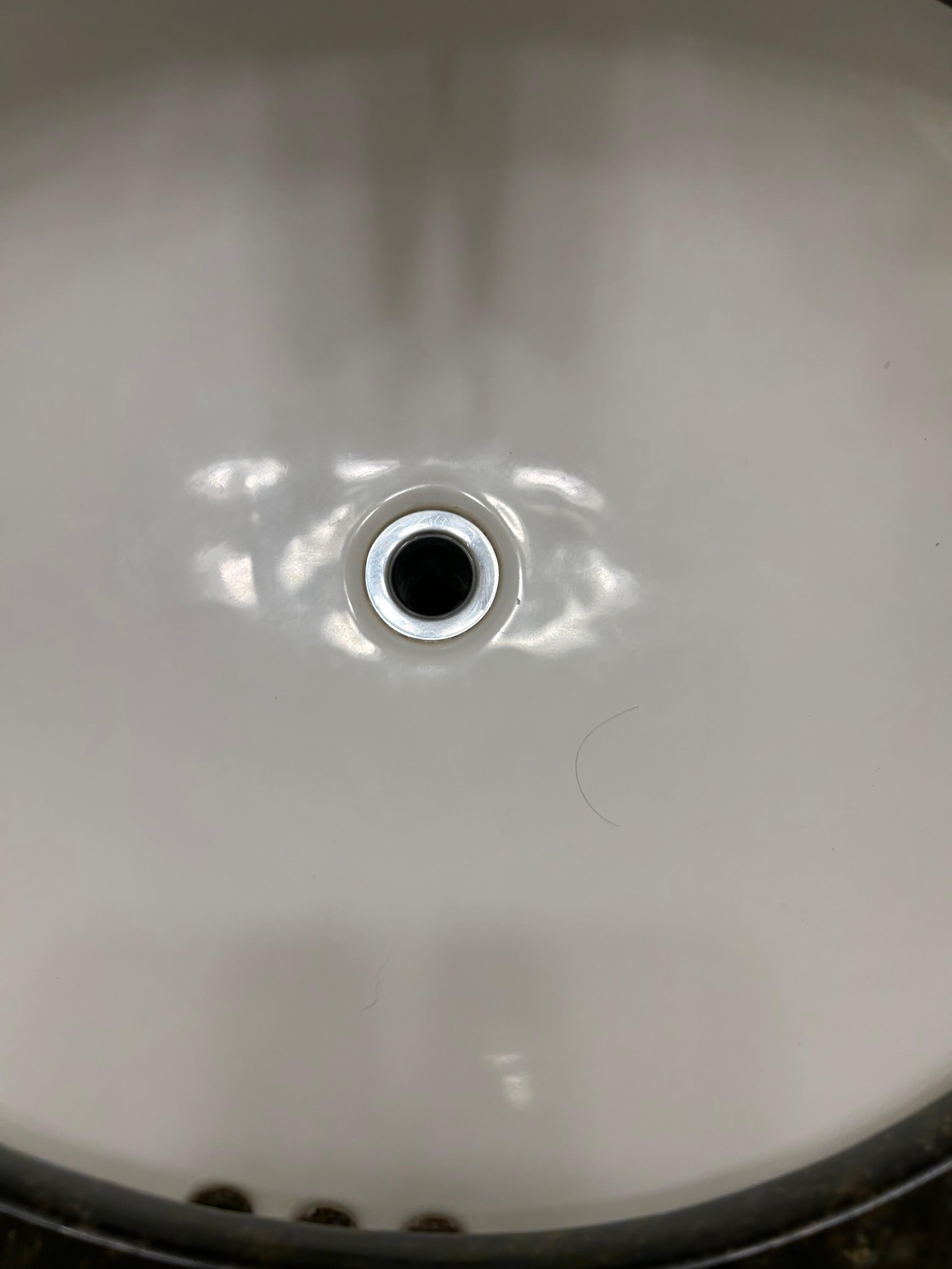 Hair in sink