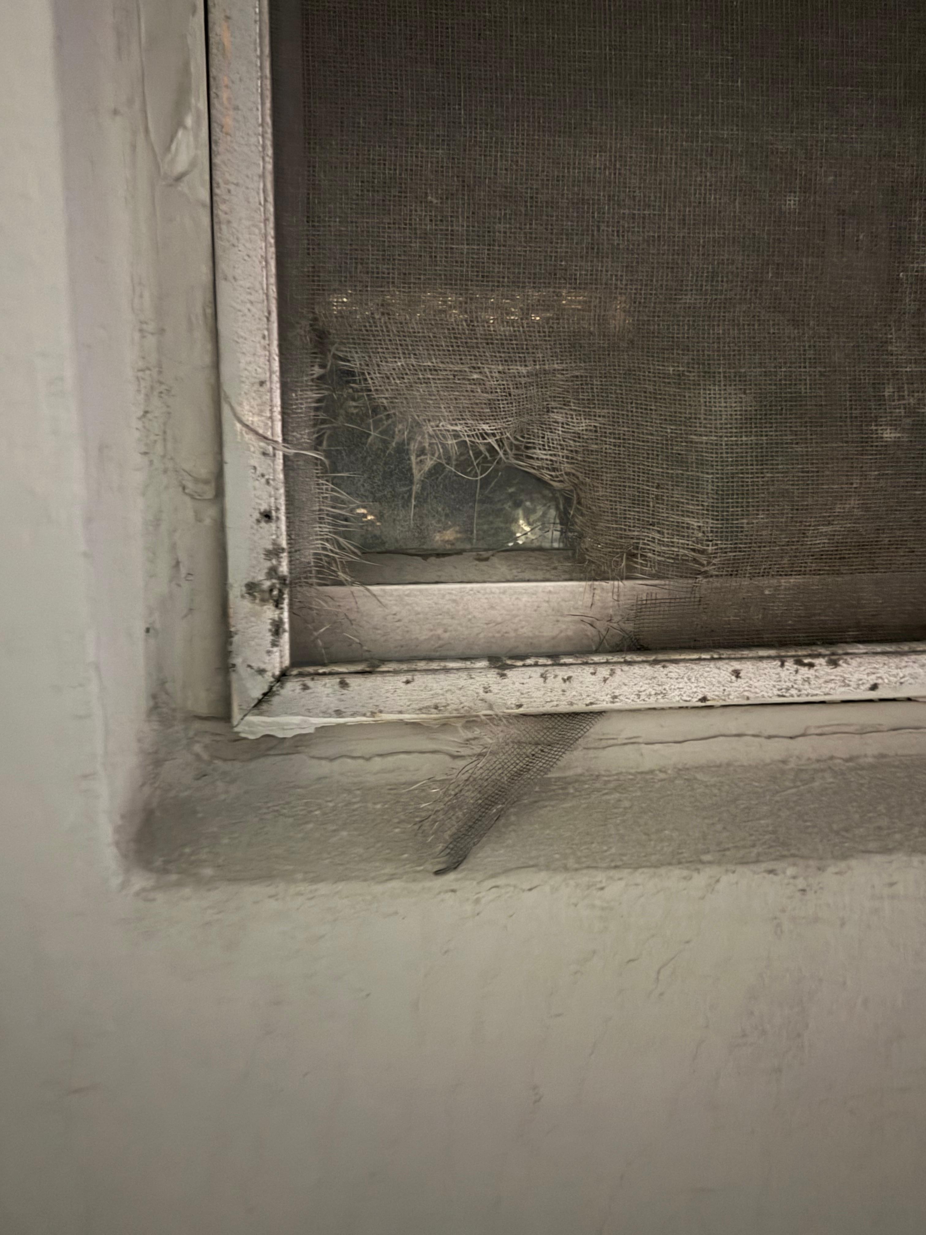 Several Broken screens. Bugs and safety concerns 