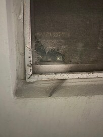 Several Broken screens. Bugs and safety concerns