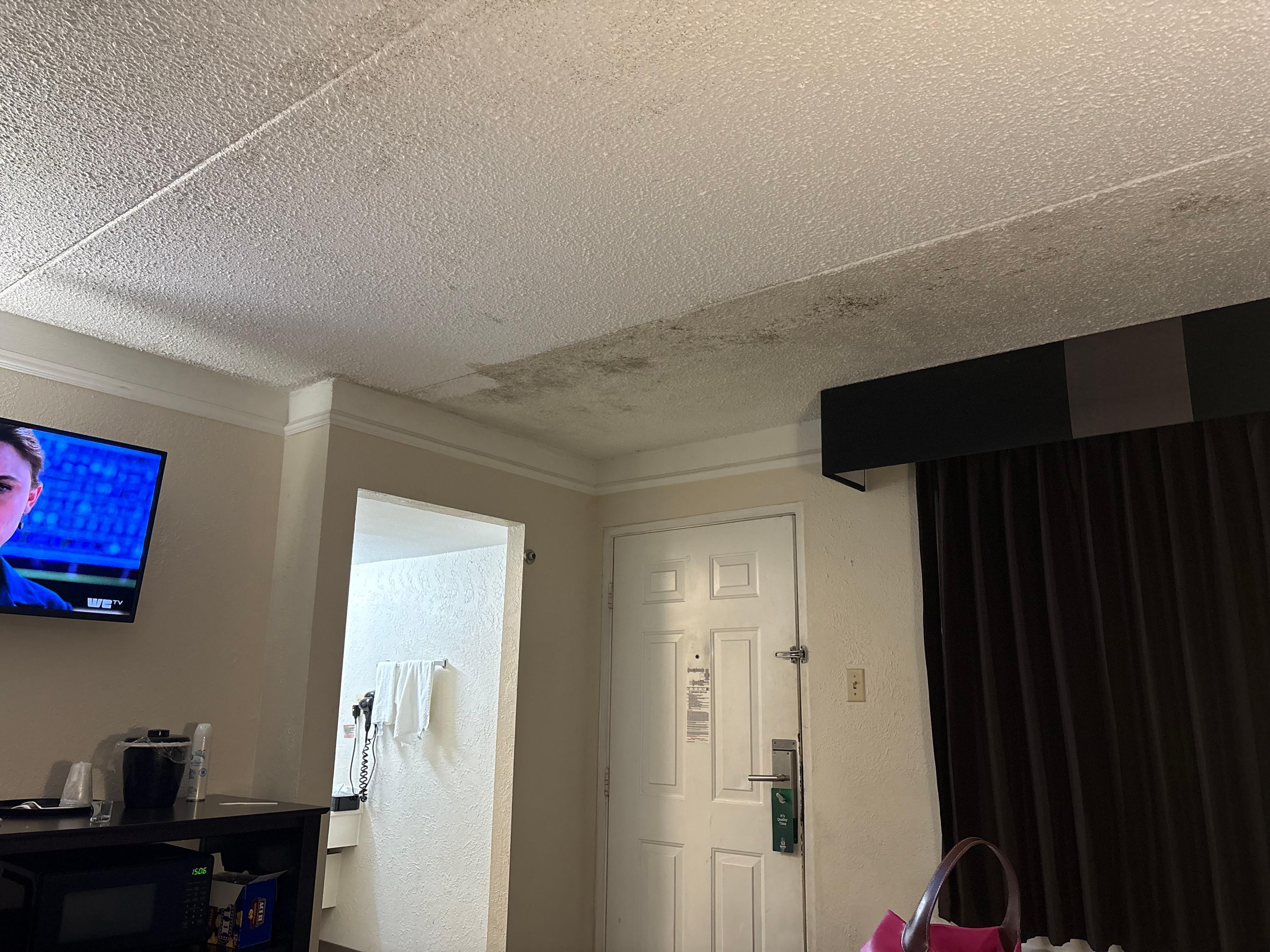 Black mold on ceiling 
