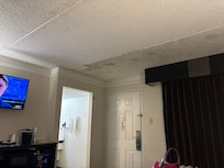 Black mold on ceiling