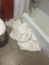 Amber came to clean and refresh towels