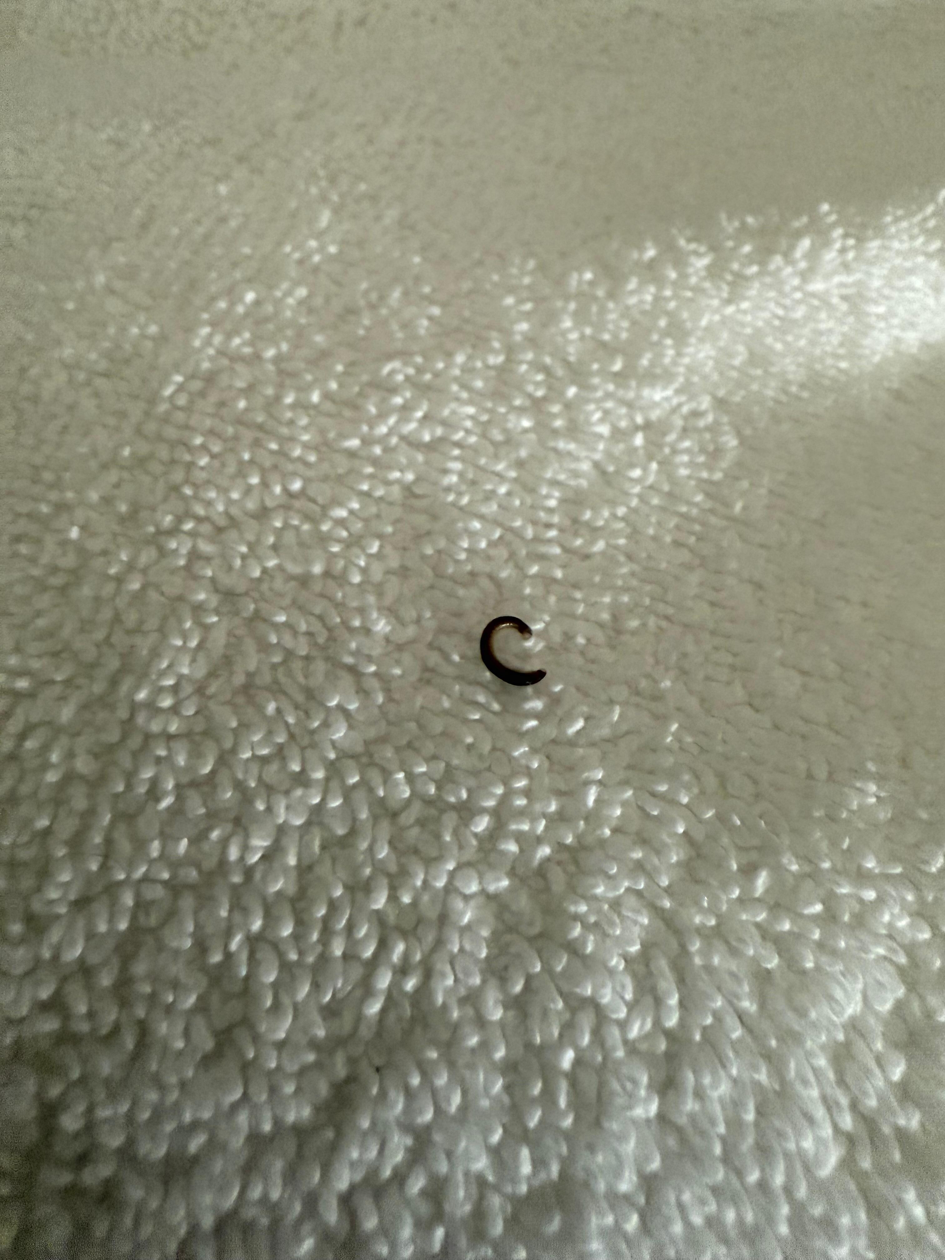 Buggy towels.