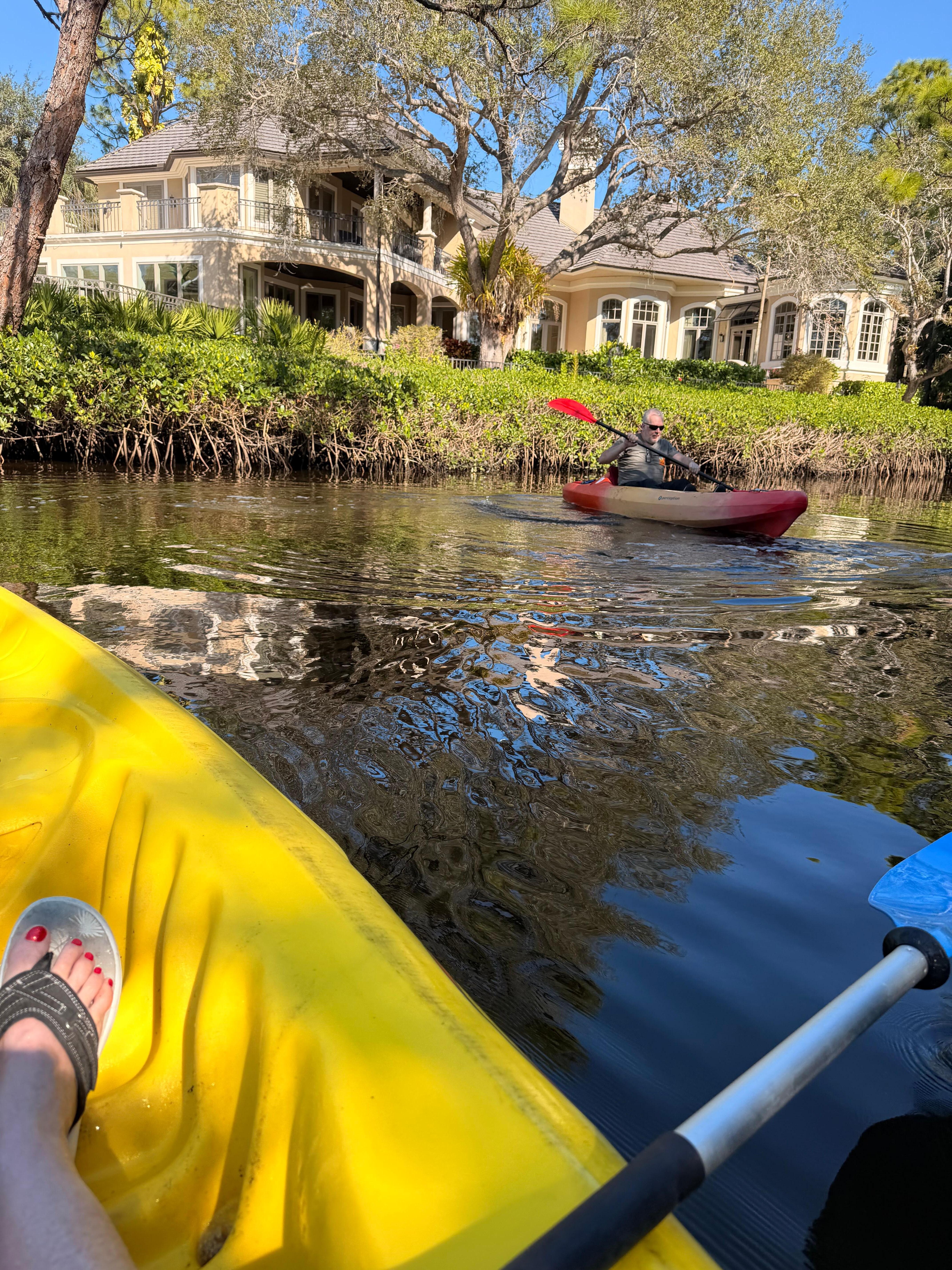 Kayaking with dolphins!
