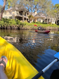 Kayaking with dolphins!