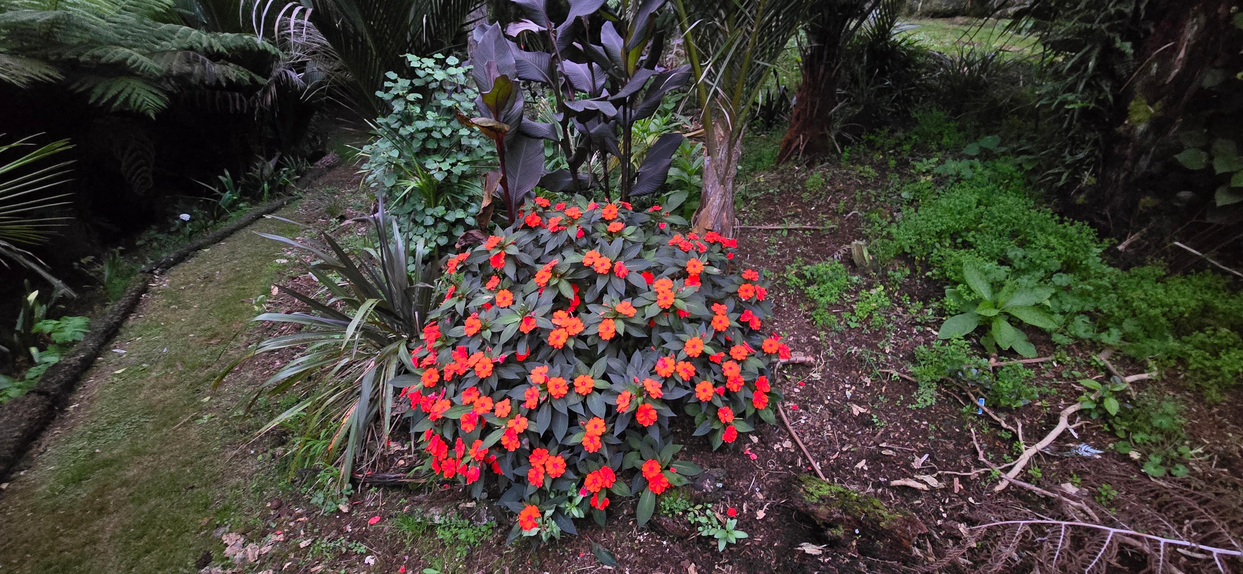 Landscaping on property 