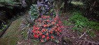 Landscaping on property