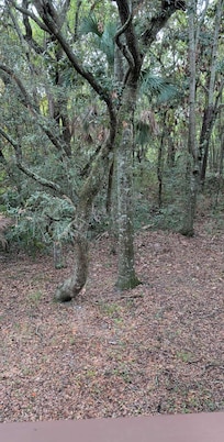 View off the back deck