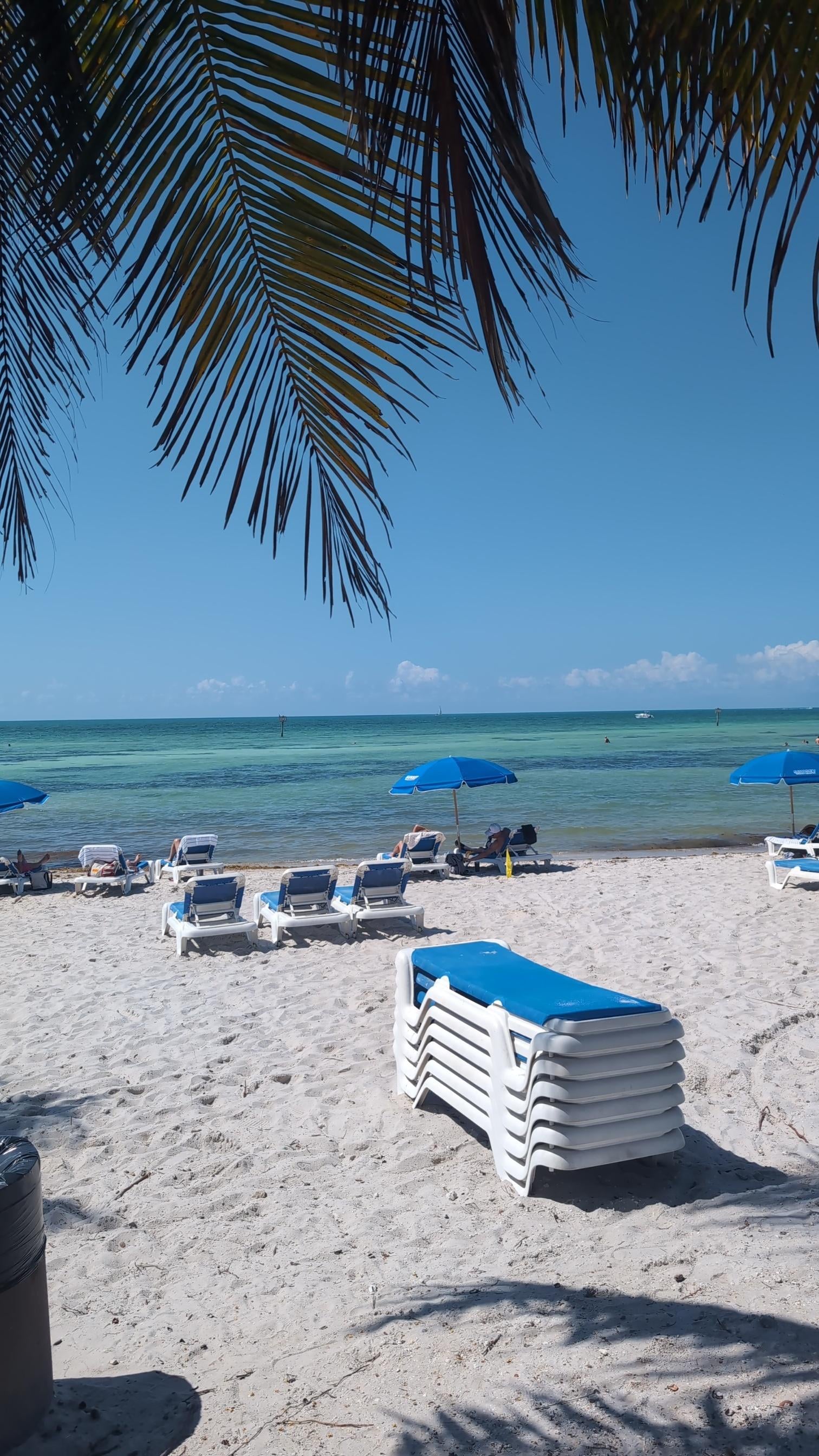 Beach right across the street.