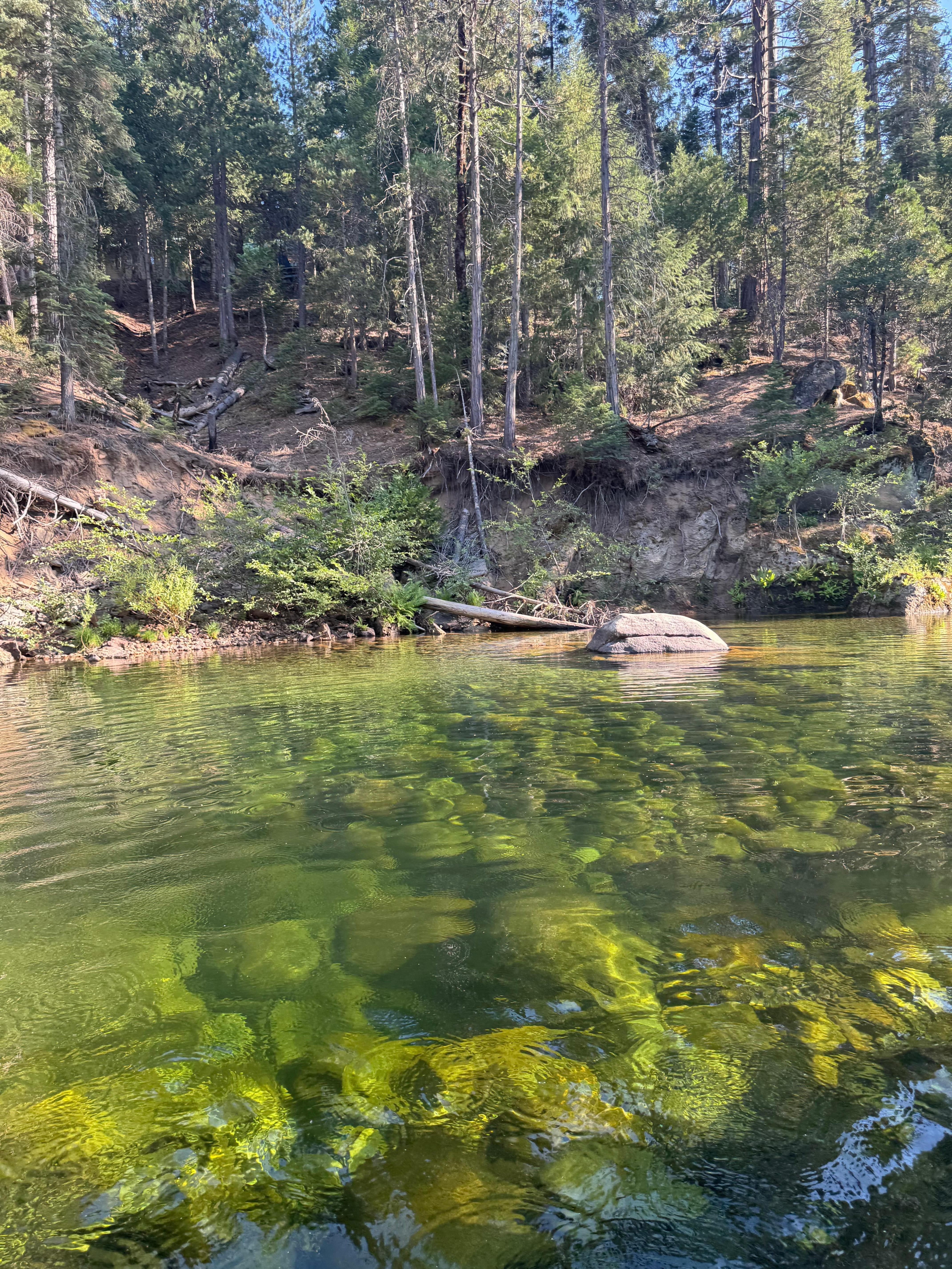 Water is very refreshing we love this cabin