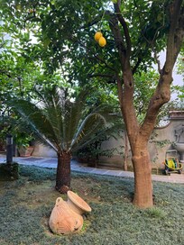 Garden outside our room
