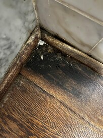 Mold next to the shower.