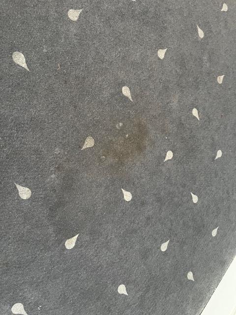 Dirty carpet in room 204