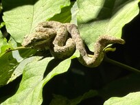 Rainmaker Night Tour with pickup from hotel by Jade Tours