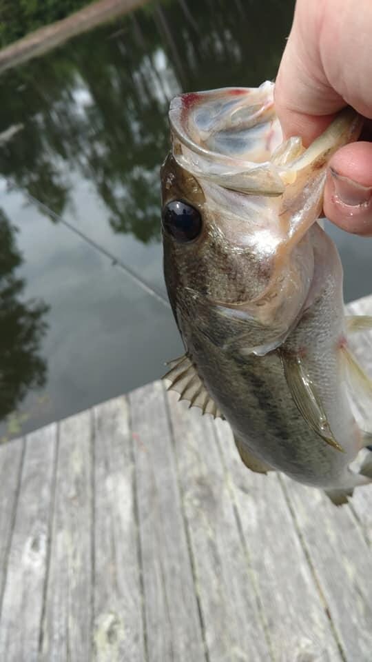 1st cast bass upon arrival