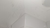 Une partie des moisissures dans la salle de bain