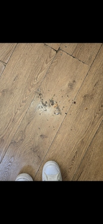 Dirty on kitchen floor