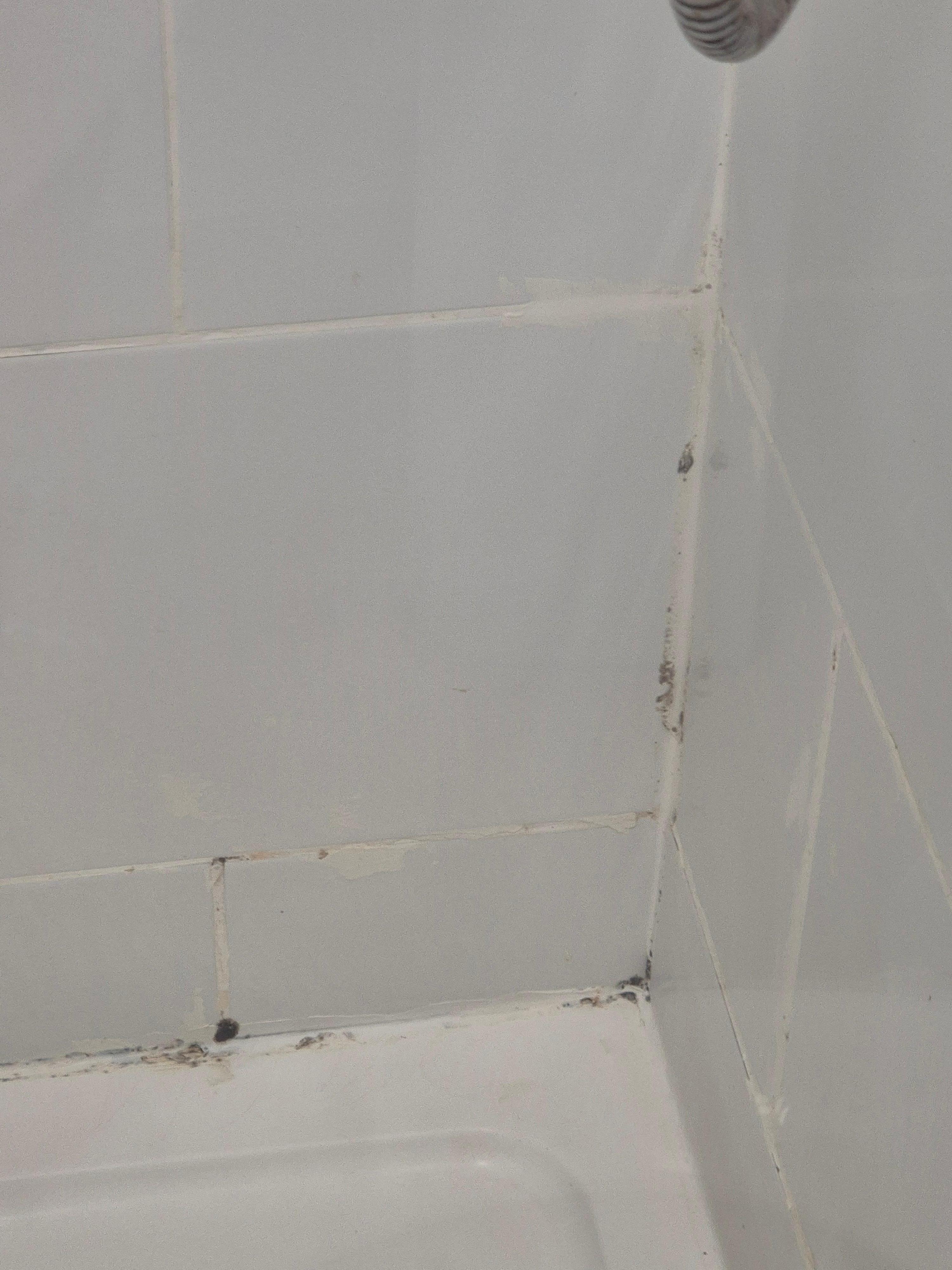 Shower,would not use it,full of mould