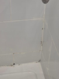 Shower,would not use it,full of mould