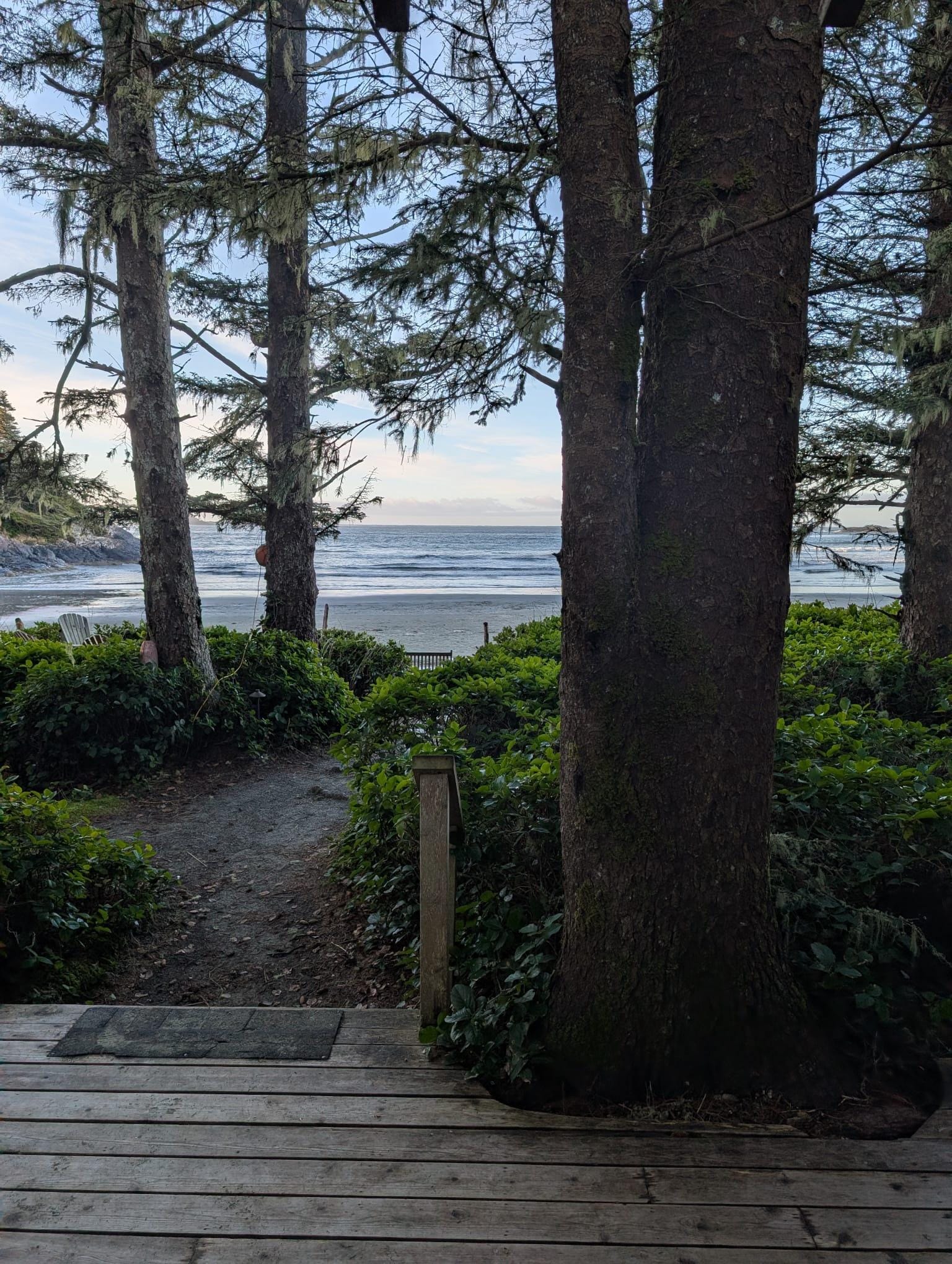 View from the cottage.