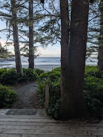 View from the cottage.