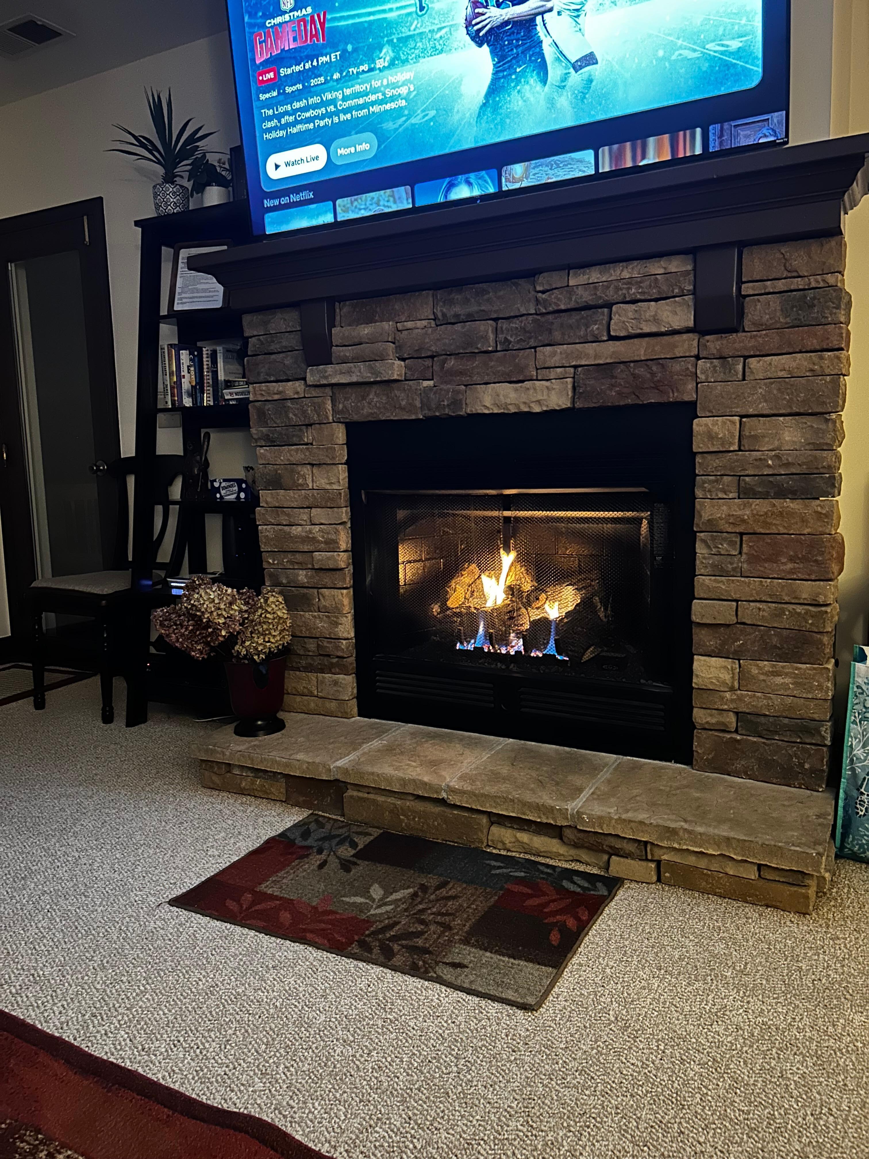 Fireplace in Living Room