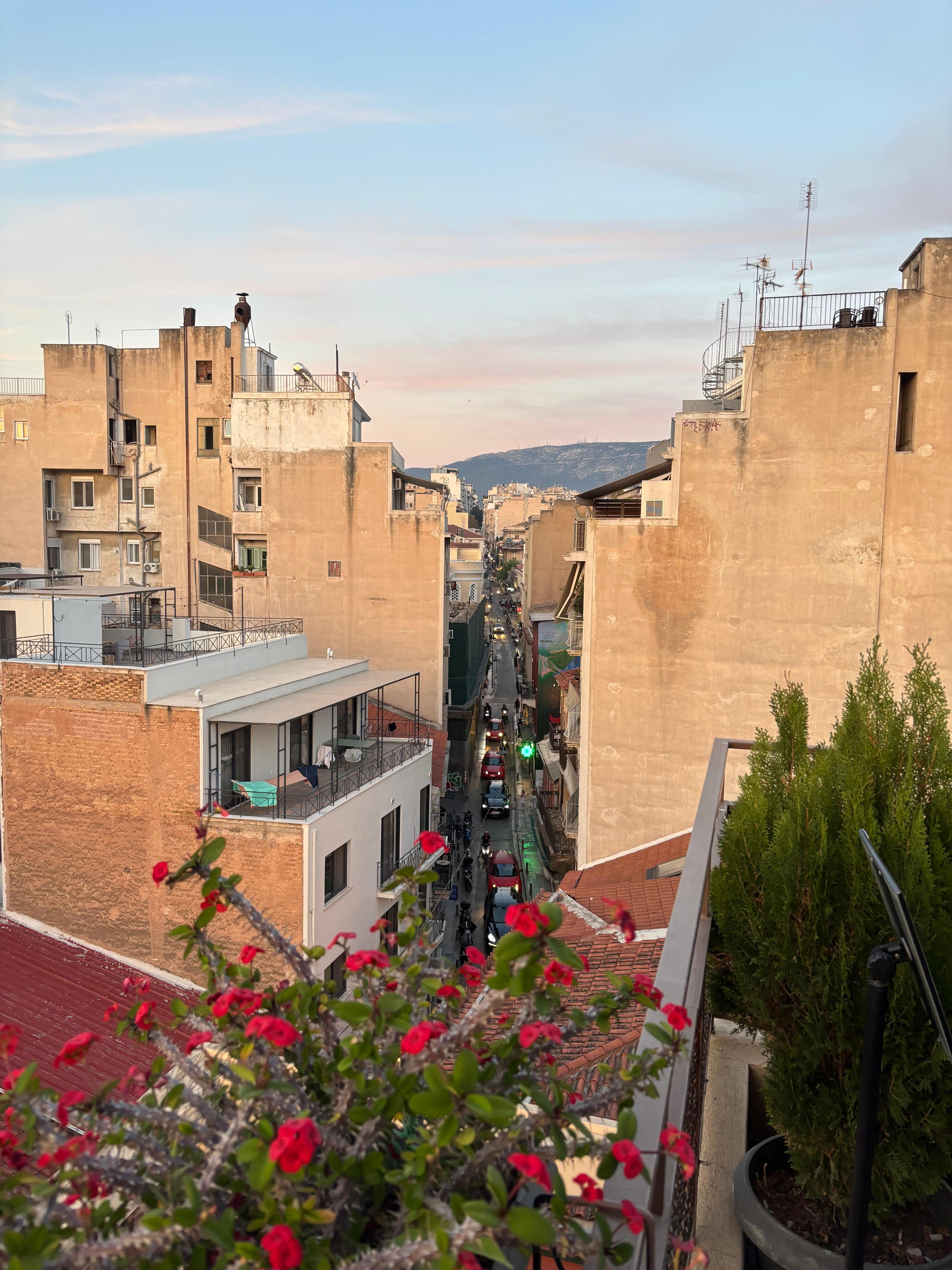 view from terrace