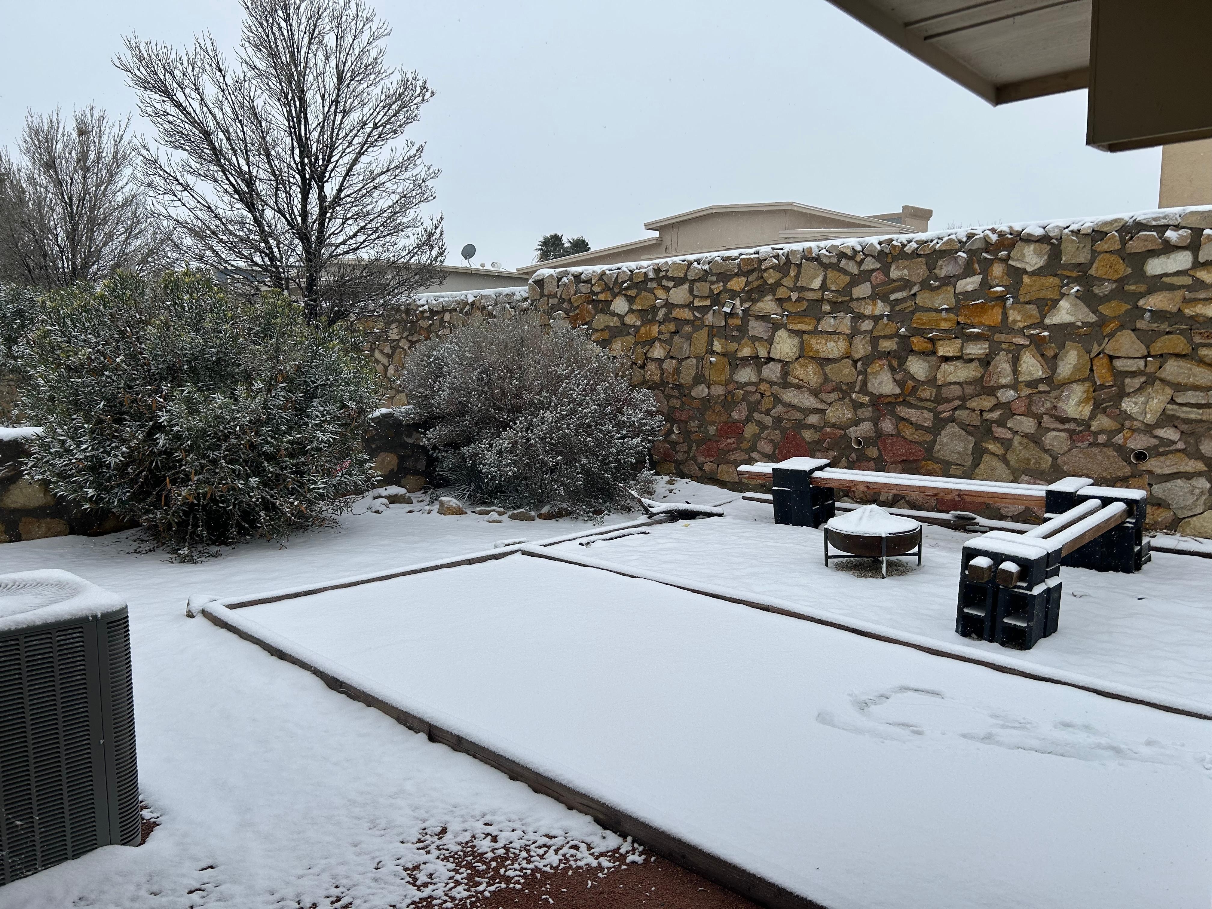 Back yard after the winter storm January 25, 2026