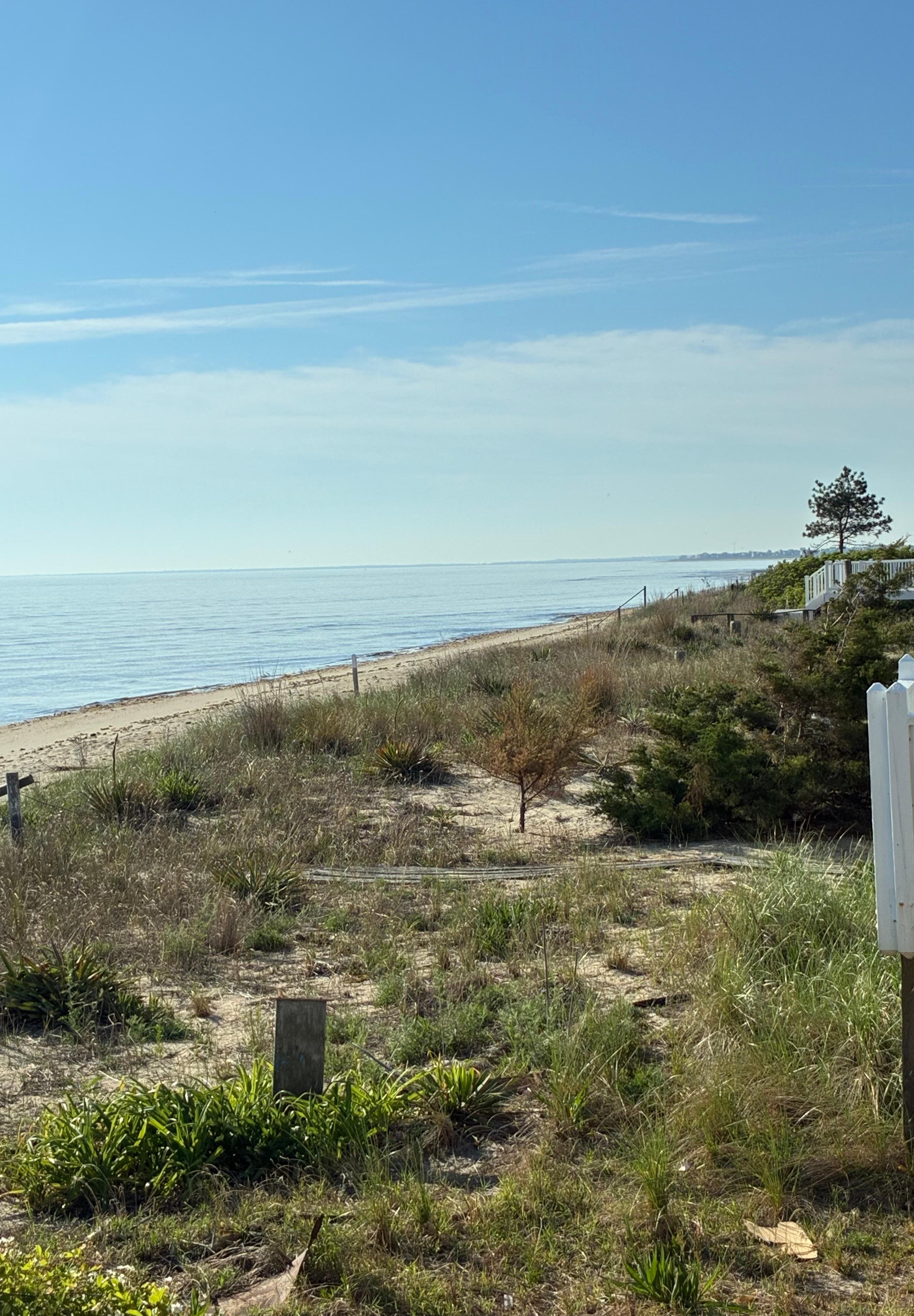 View from the cottage’s deck. 
