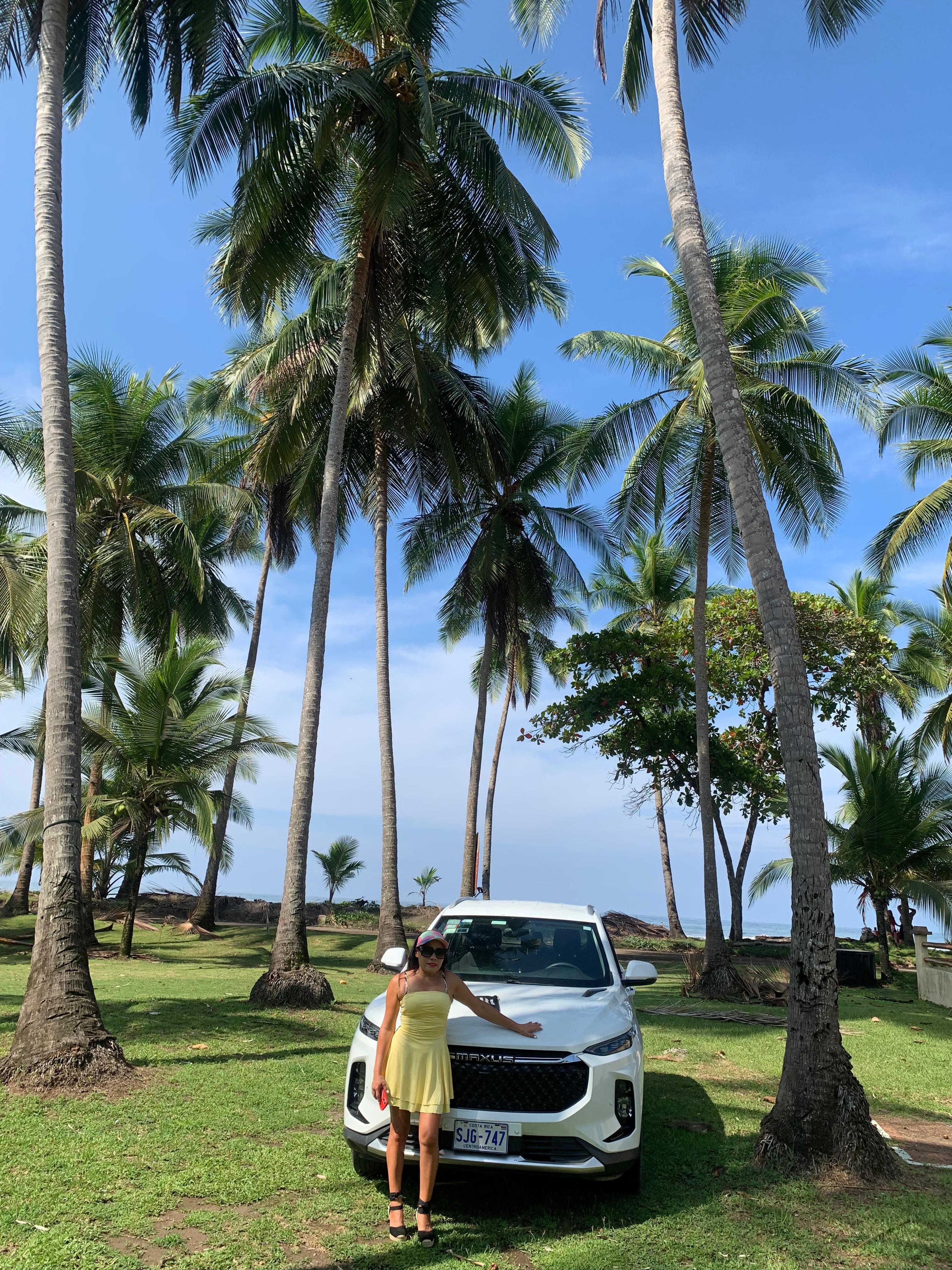 Front Yard to Beach