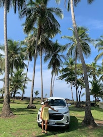 Front Yard to Beach