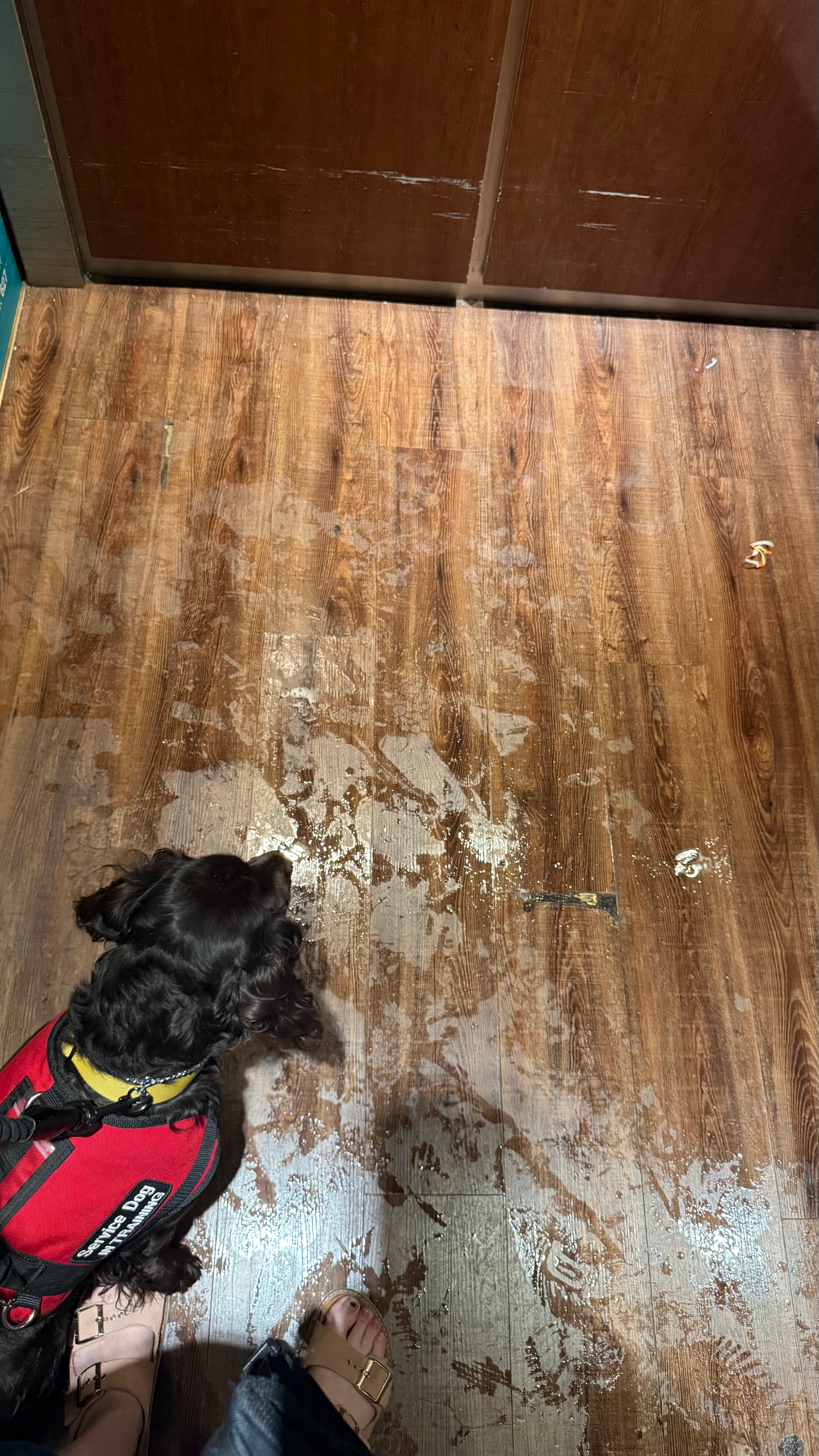 Soaking wet floor in elevator. 