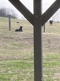 A fenced yard in the country, wow!