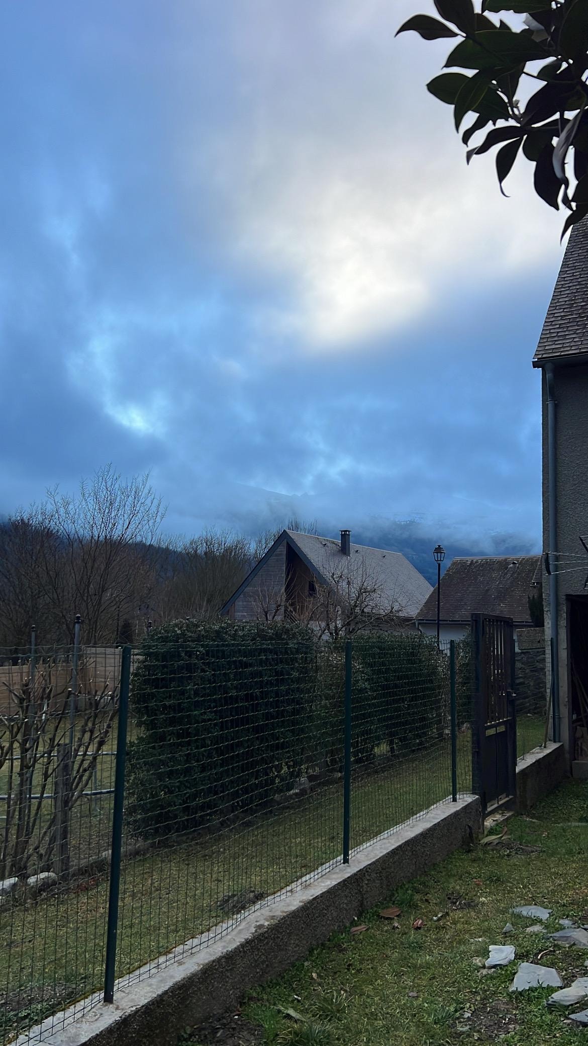 Une belle vue du jardin 