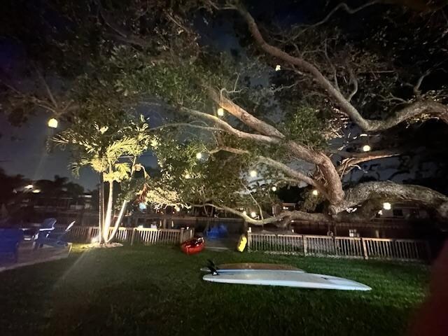 Backyard at night