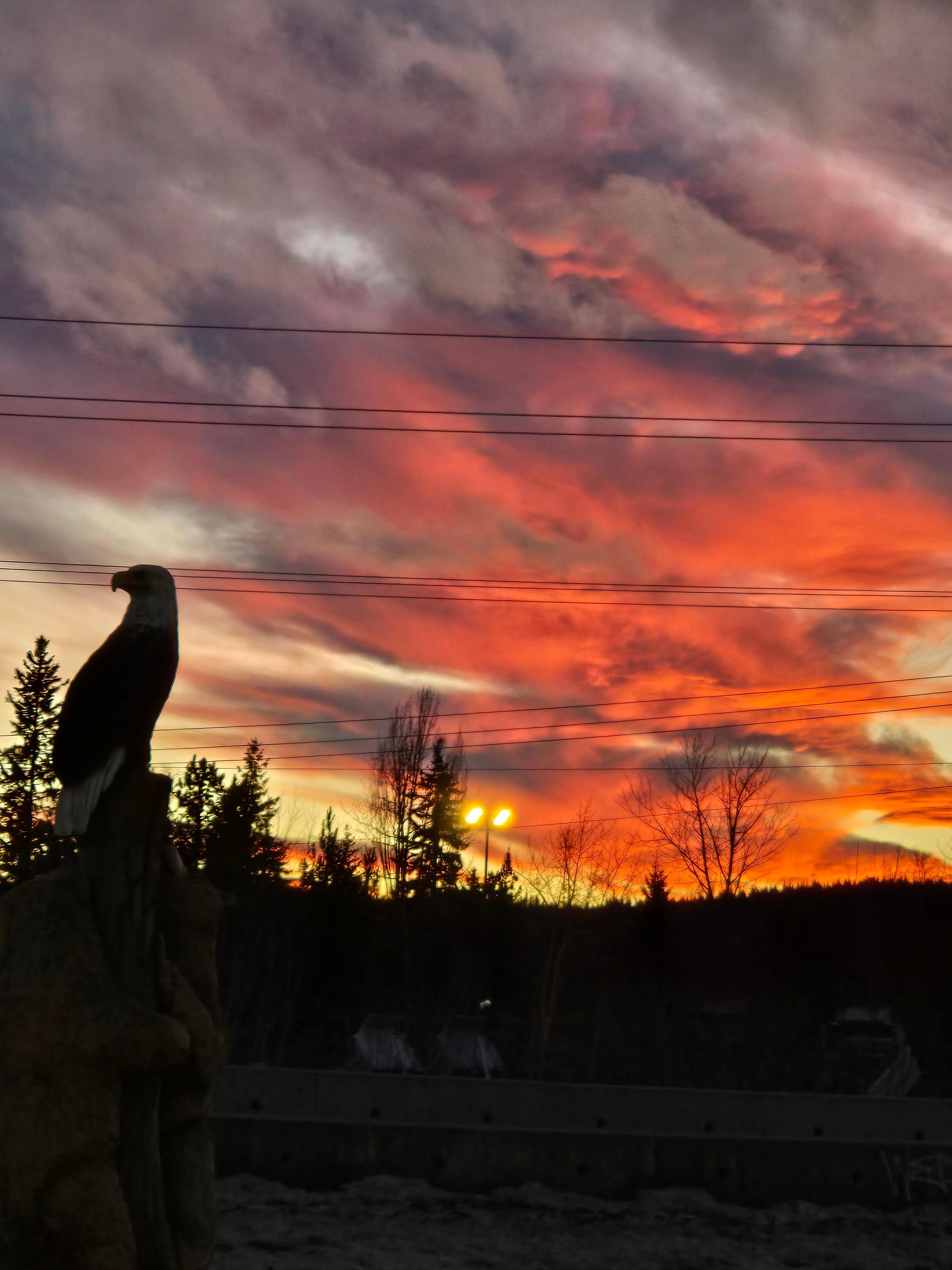 The sunset behind the eagle statue.