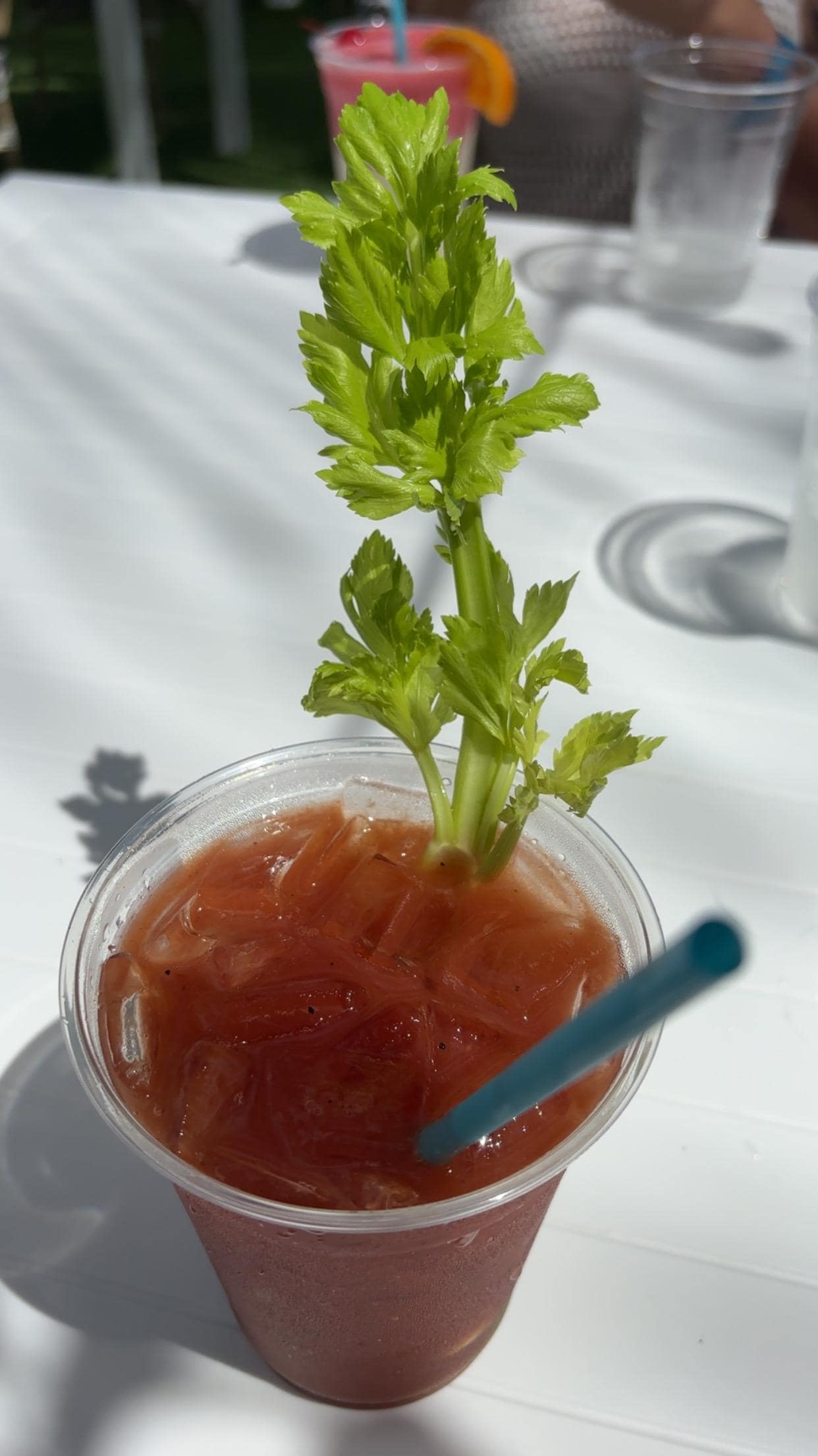 Bloody Mary from Tiki Bar 