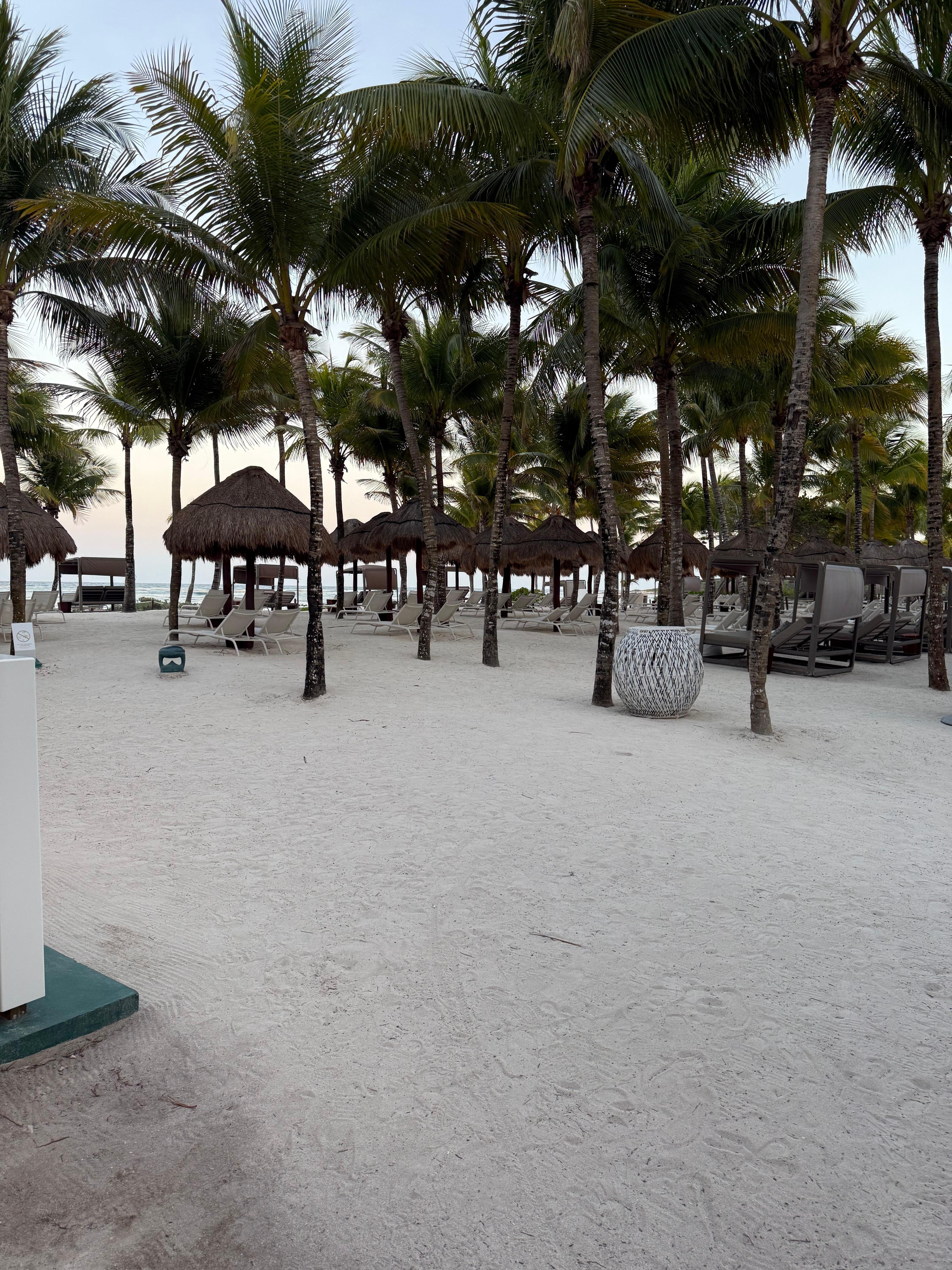 Beach area