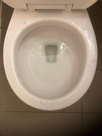 hair on toilet seat