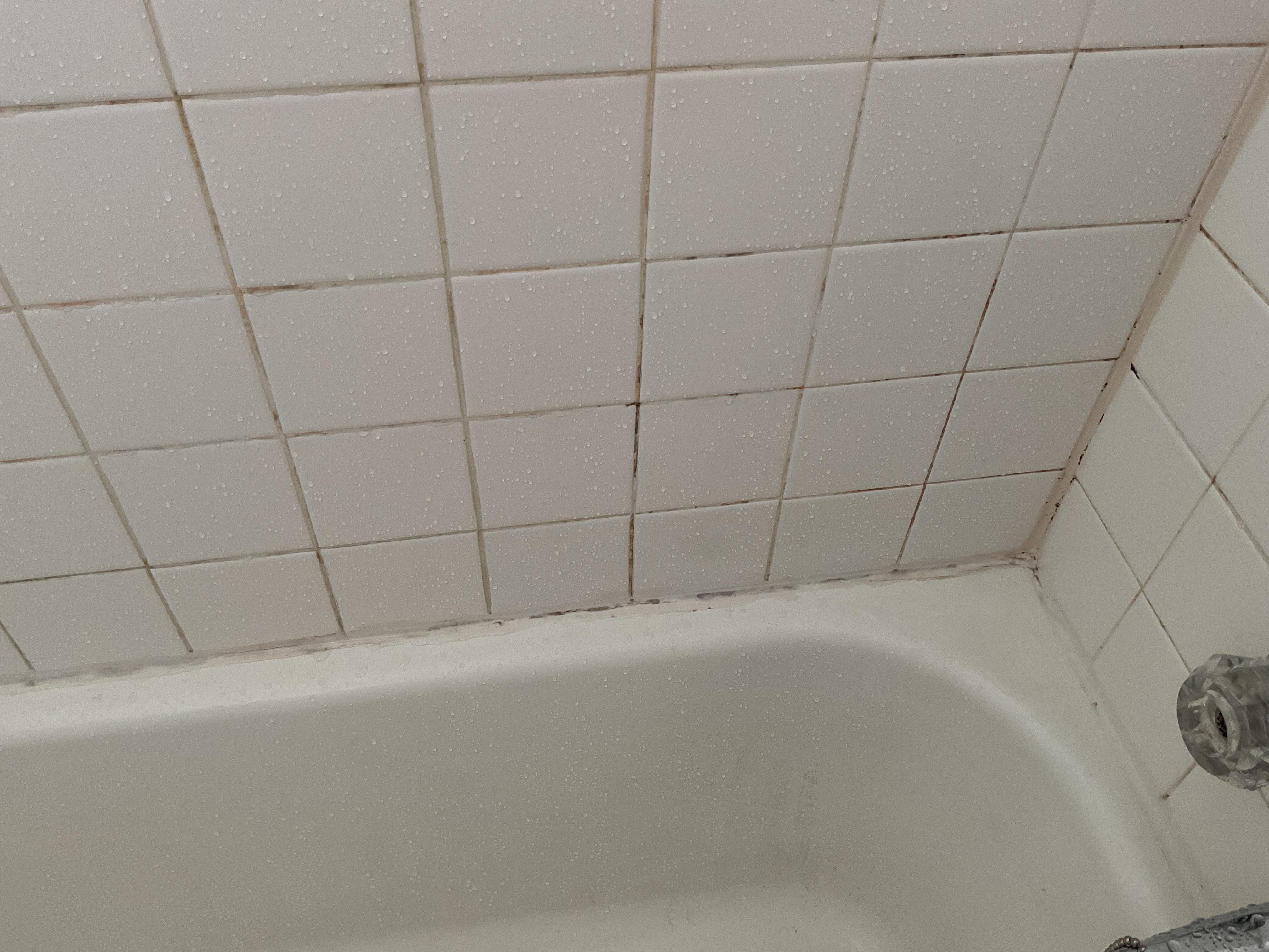 Mold in grout and caulking.