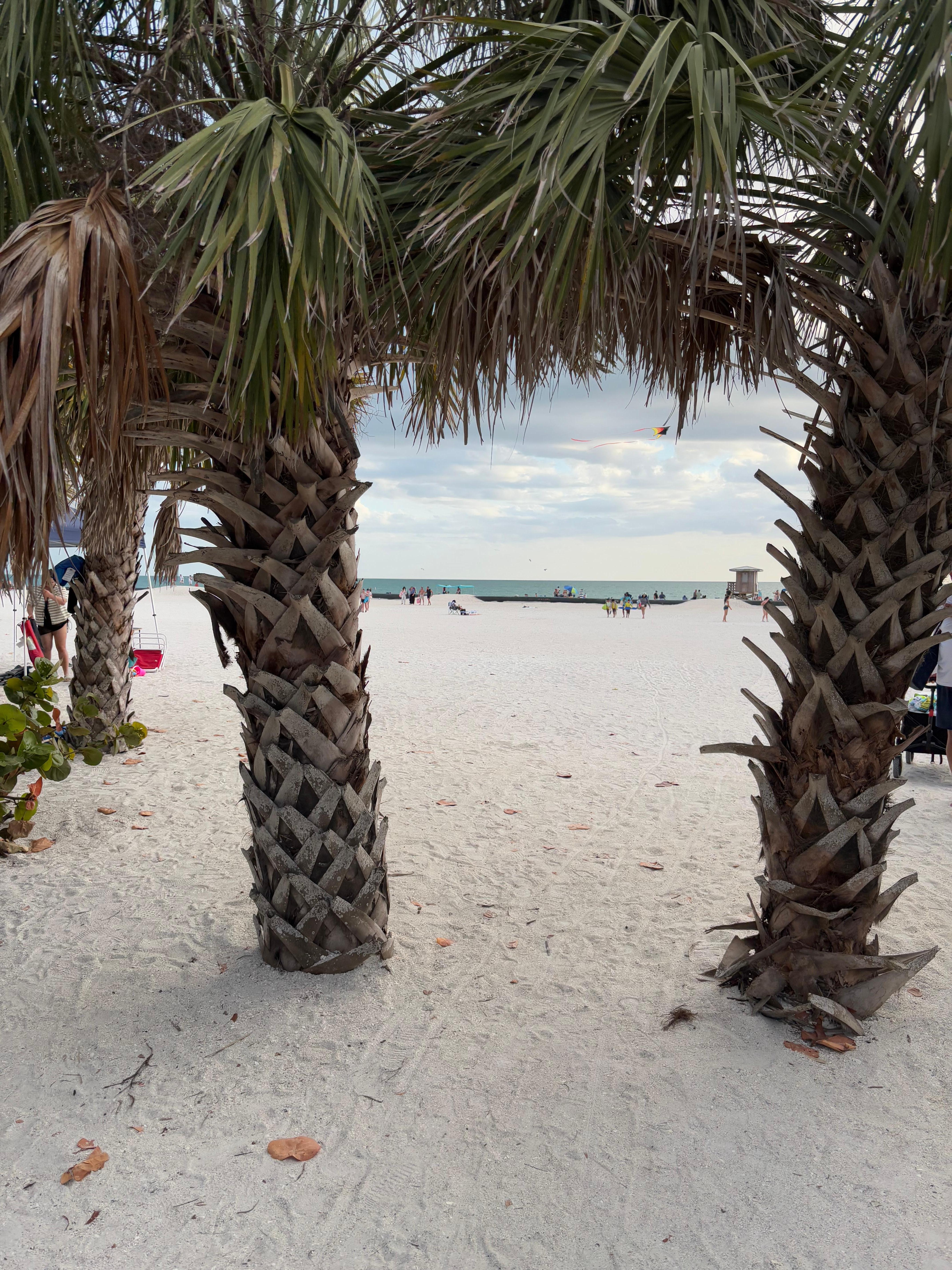 Enjoyed beaches in the area