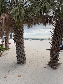 Enjoyed beaches in the area