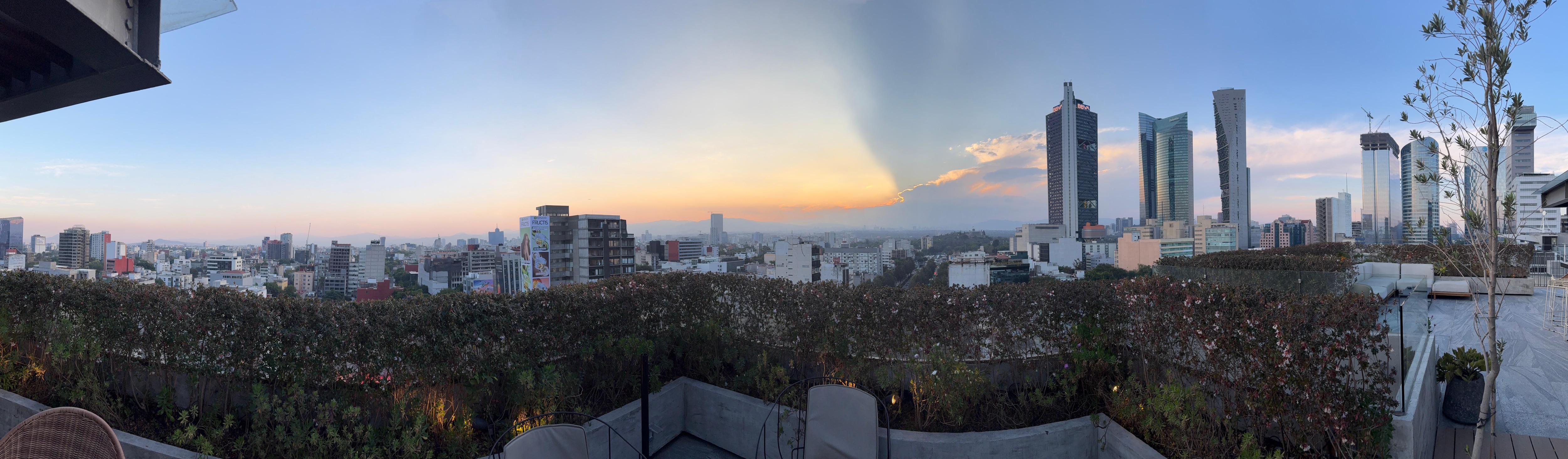 Beautiful views from the rooftop garden.