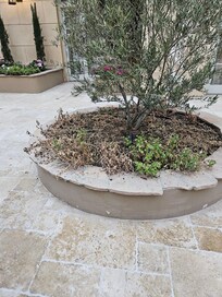 Flower bed needs tending to