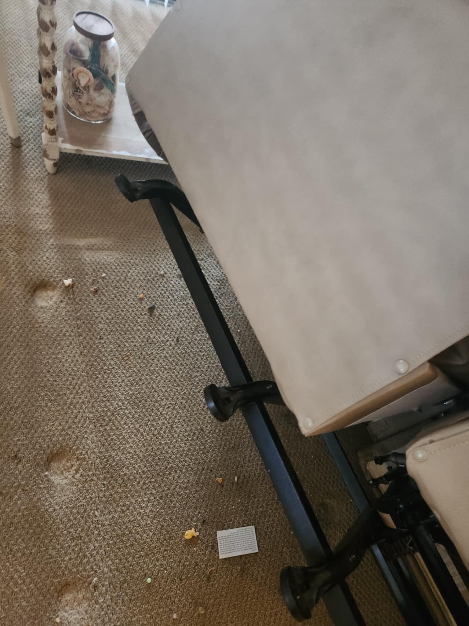 TRASH AND FOOD UNDER SOFA