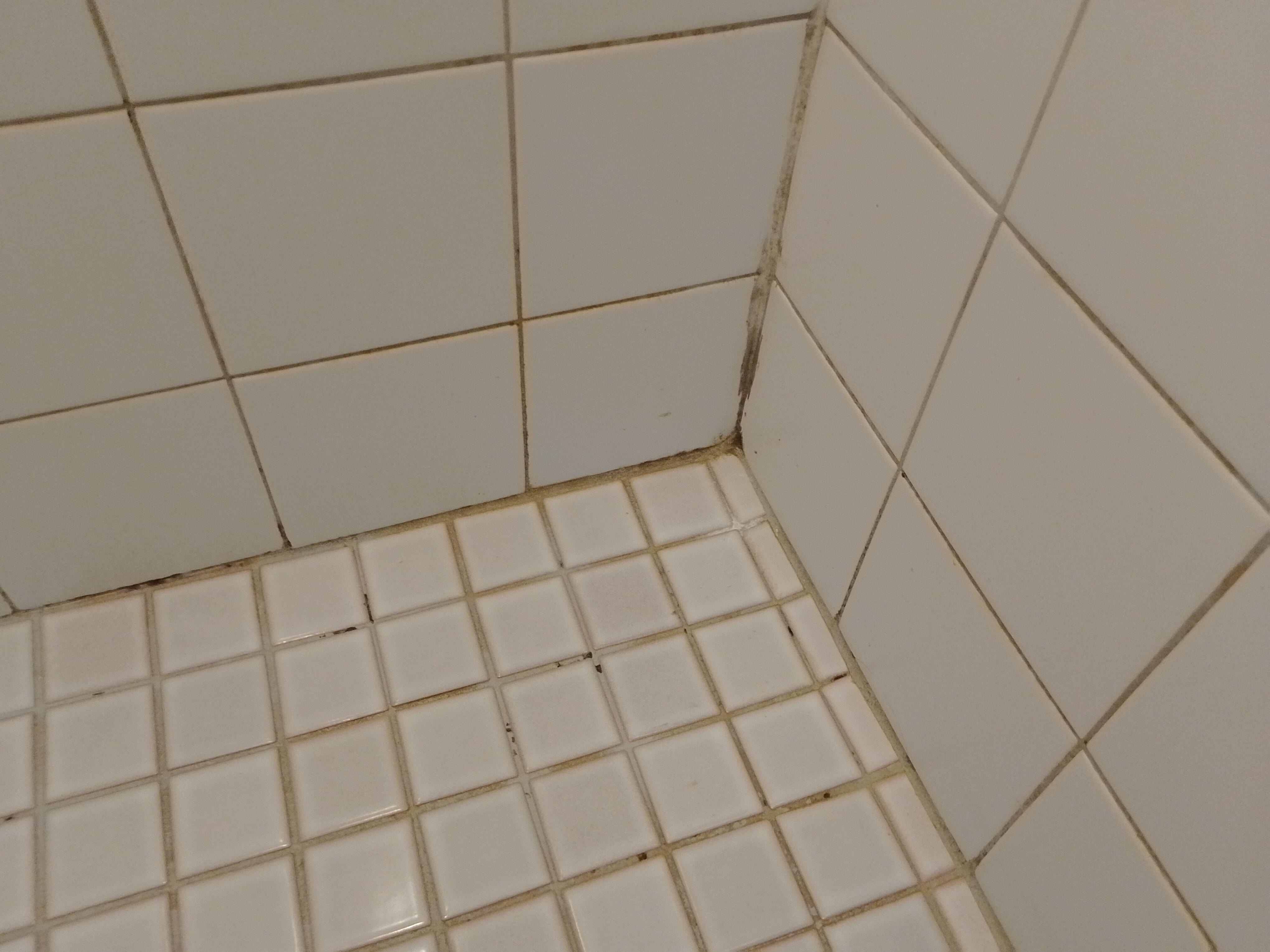 Dirty shower grout