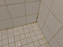 Dirty shower grout