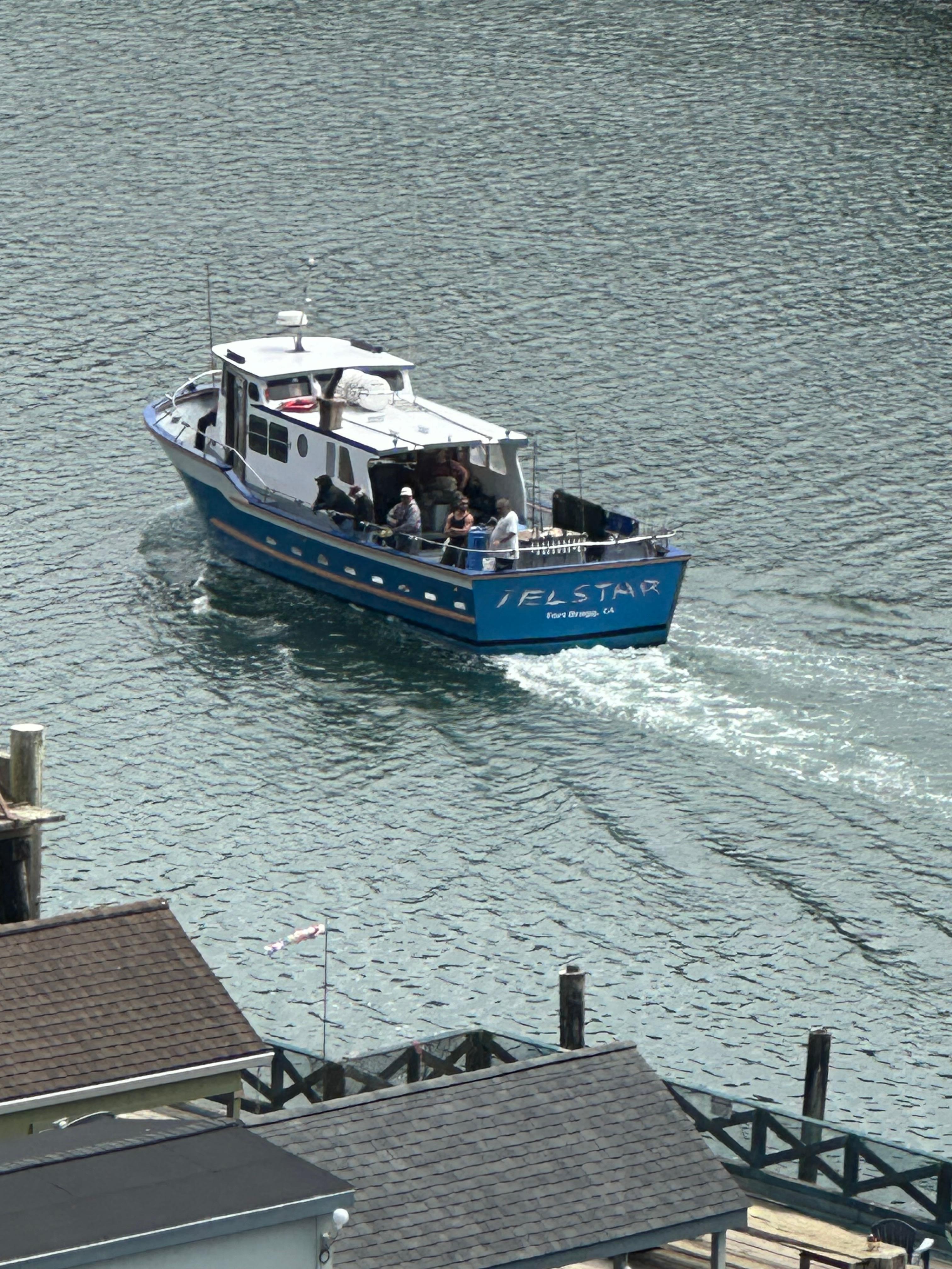 Harbor boats