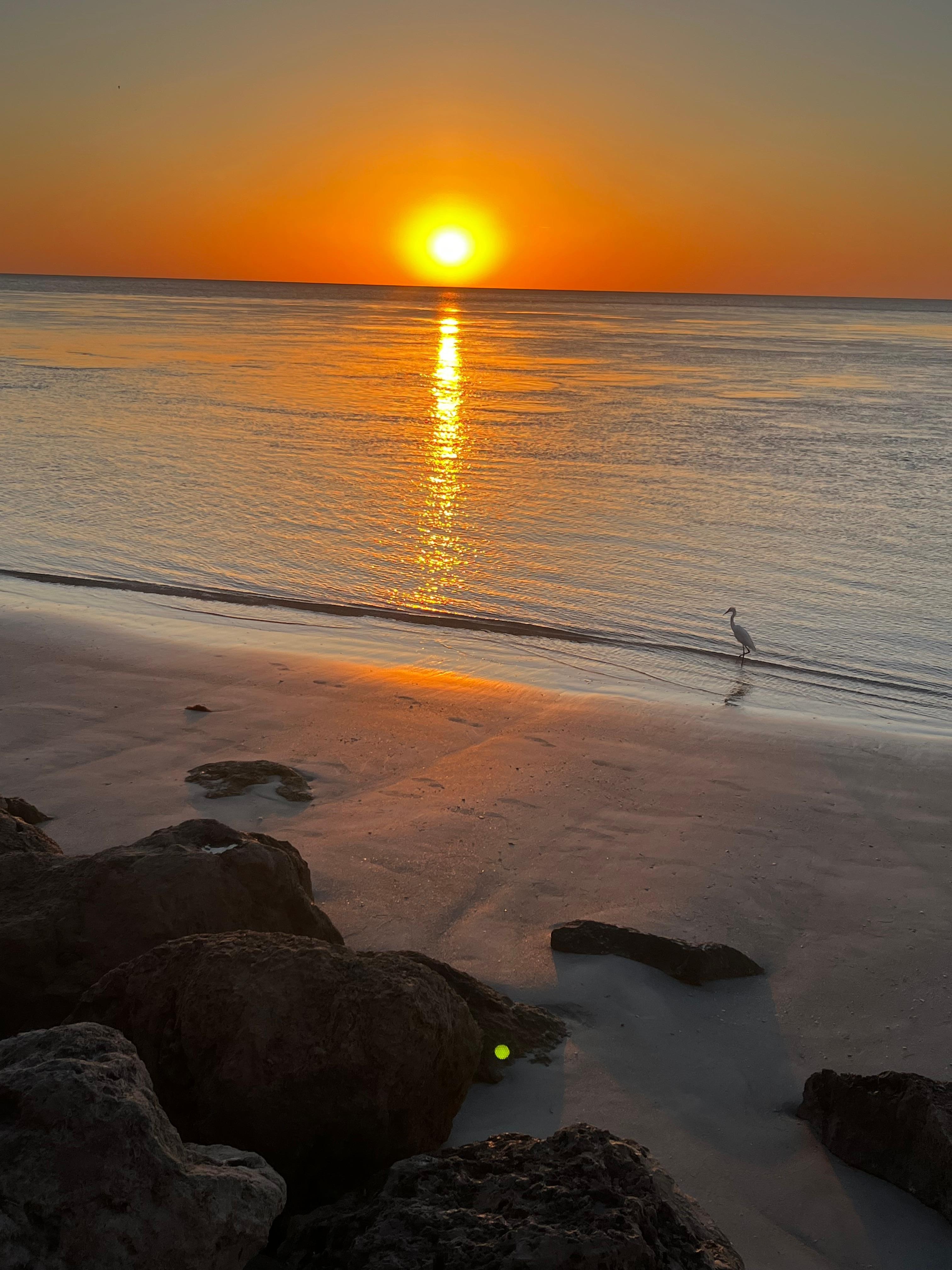 Amazing sun set from the beach.